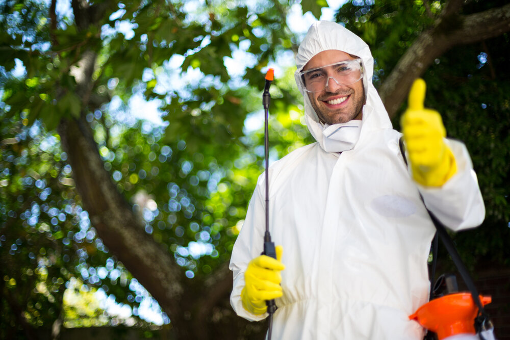 A Guide To Choosing The Right Pest Control Company For You