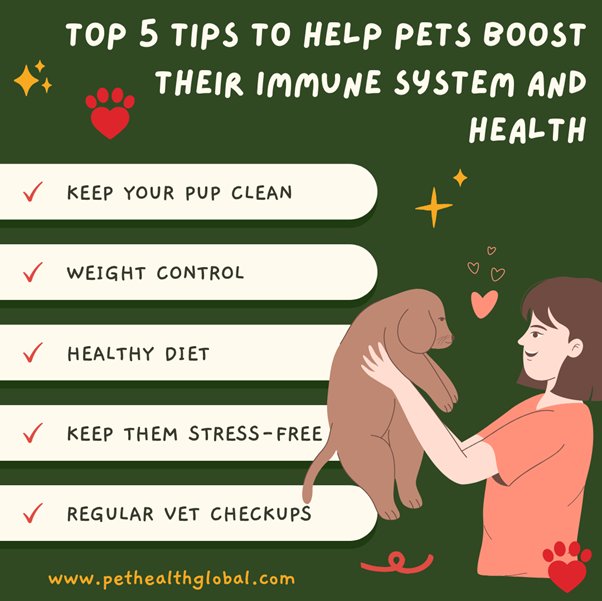 Top 5 Tips To Help Pets Boost Their Immune System And Health