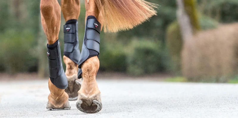 How Tendon Boots Can Benefit Your Horse