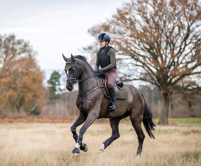 An Overview of Quality Horse Riding Brand LeMieux
