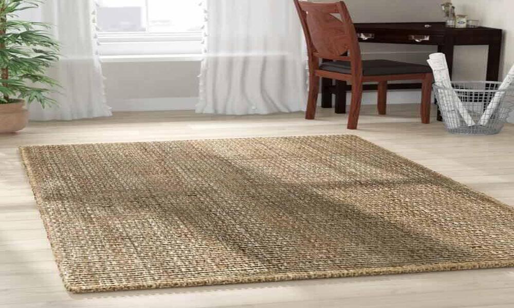 Reasons Why People Are Obsessed With Cozy Sisal Rugs